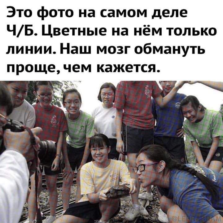 Это фото на самом деле ЧБ Цветные на нём только линии Наш мозг обмануть прощечем кажется