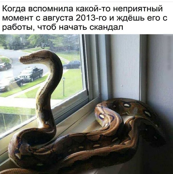 Когда вспомнила какой то неприятный момент с августа 2013 го и ждёшь его с работы ч