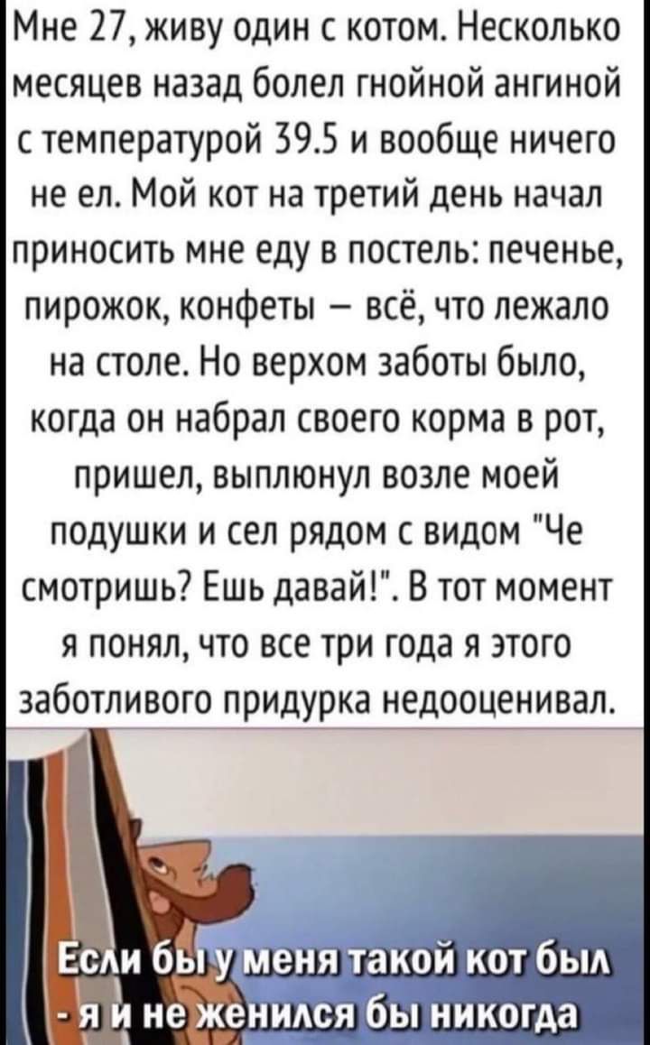 Мне 27 живу один с котом Несколько месяцев назад болел гнойной ангиной с температурой 395 и вообще ничего не ел Мой кот на третий день начал приносить мне еду в постель печенье пирожок конфеты всё что лежало на столе Но верхом заботы было когда он набрал своего корма в рот пришел выплюнул возле моей подушки и сел рядом с видом Че смотришь Ешь давай В тот момент я понял что все три года я этого заб