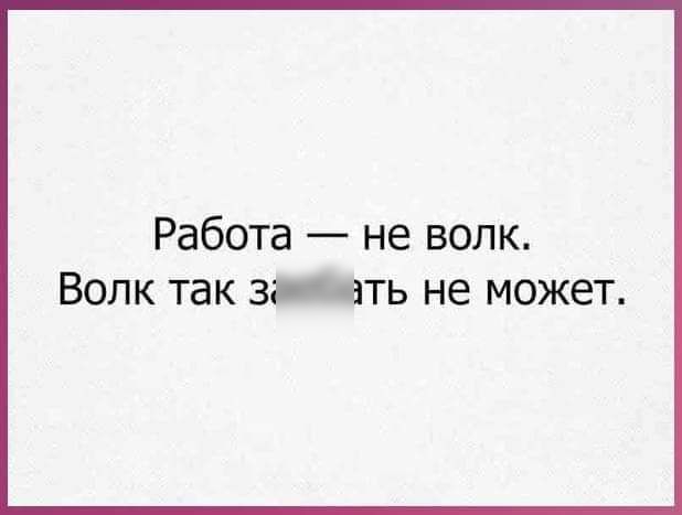 Работа не волк ВОЛК ТдК ЗЩТЬ НЕ МОЖЕТ