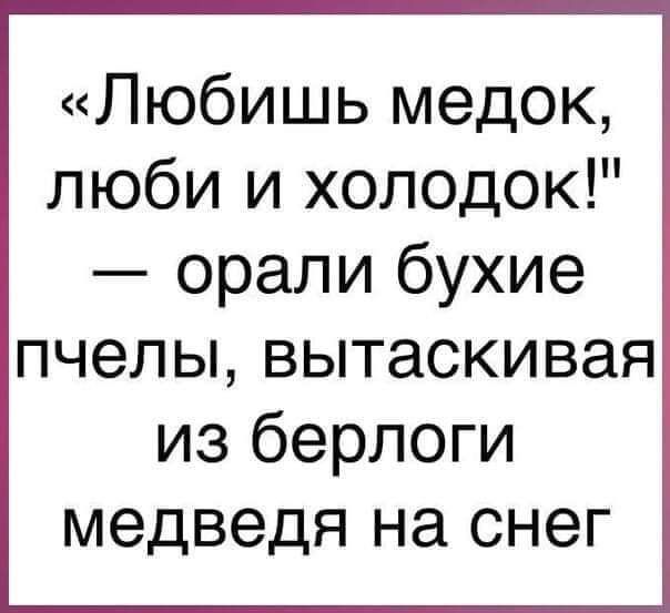 Любишь медок люби и холодок орали бухие пчелы вытаскивая из берлоги медведя на снег