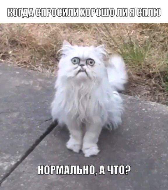 БЮТ Я ШШ Ш жд 1 нормдпьнмчтор