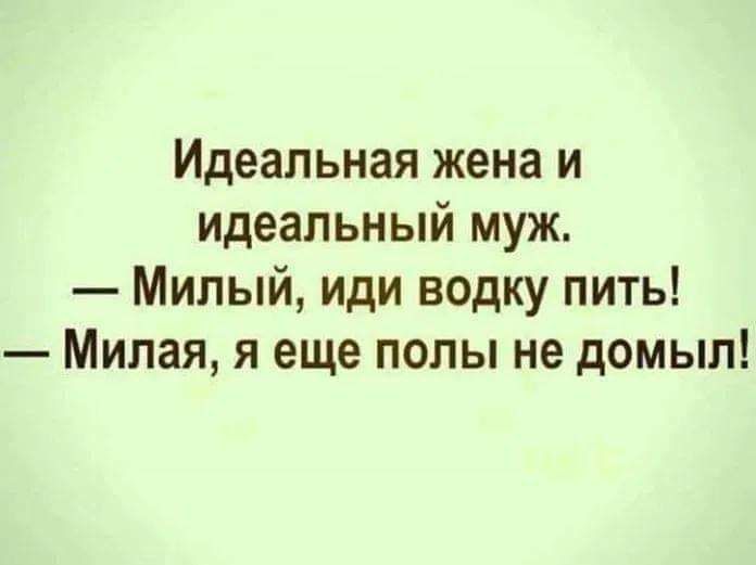 Идеальная жена и идеальный муж Милый иди водку пить Милая я еще полы не домып