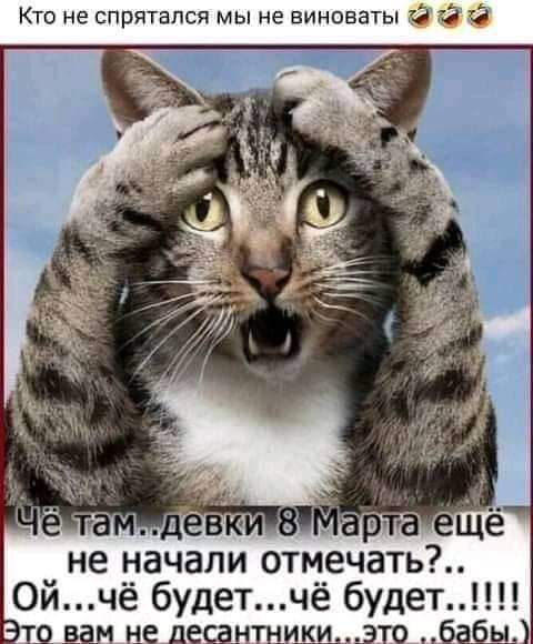 Кто не спрятался мы не виноваты З 3 И не начали отмечать 0йчё будетчё будет т9 вам не деаншщдто бабц