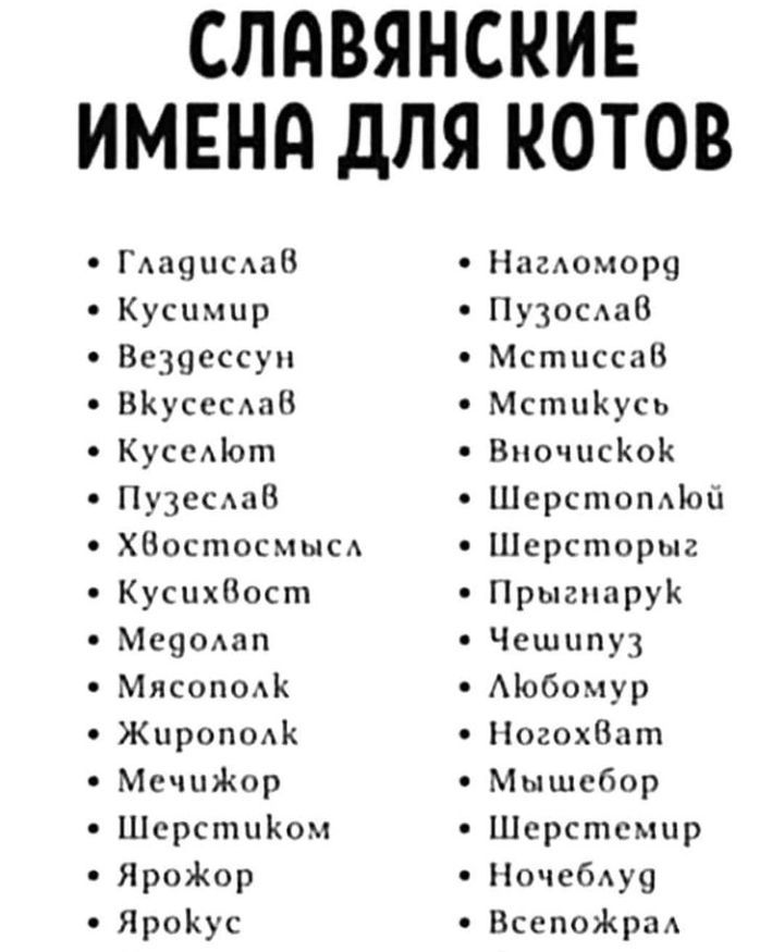 СПАВЯНСКИЕ ИМЕНд ДЛЯ КОТОВ Гда9исм18 Кусимир Всзасссуи ВКуссСАаВ КуссАіот Пу3есы8 ХВостосмысхж КусихНост Мечом Мясоподк Жироподк МсчиЖор ШсрспшКом ЯроЖор ЯроКус Наеюном ПузосдаВ МстиссаВ МстиКусь ВночпсКоК ШерстоПАЪоіі Шерсторыг Прыгппрук Чешипуз Мобомур НогохВат Мышсбор Шсрстсмнр Ночебдш ВсепоЖраА