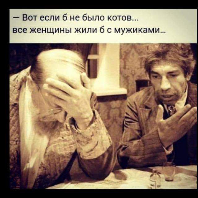 Вот если б не было котов все женщины жили б с мужиками