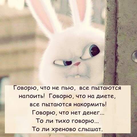 Г мы _ ГОВОРЮ ЧТО НЕ ПЬЮ ВСВ ПЫТЦЮТСЯ напоить Говорю что на диете все пытаются накормить __ Говорю что нет денег То ли тихо говорю ТО ЛИ ХРЕНОВО СЛЫШОТ 1