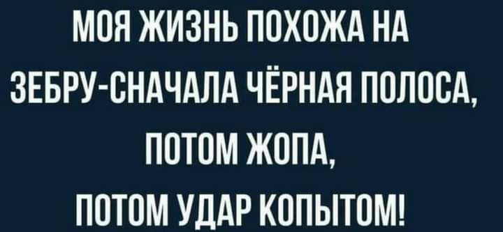 МОЯ ЖИЗНЬ ПОХОЖА НА ЗЕБРУ ОНАЧАЛА ЧЁРНАЯ ПОЛООА ПОТОМ ЖОПА ПОТОМ УДАР КОПЫТОМ