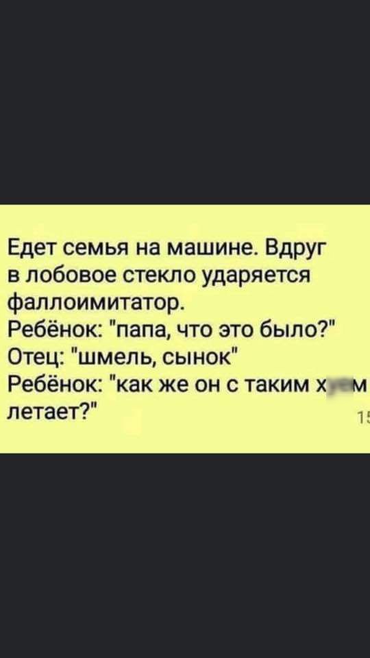 Едет семья на машине Вдруг в лобовое стекло ударяется фаллоимитатор Ребёнок папа что это было Отец шмель сынок Ребёнок как же он с таким х ч м летает