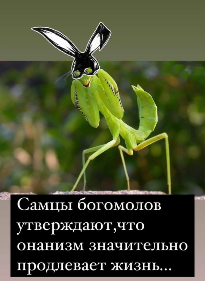 УТВСРЖДЗЮТЧТО ОНЗНИЗМ ЗНЗЧИТСЛЬНО продлевает ЖИЗНЬ
