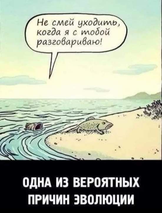 Не смей уходыидо когда я с модой разгобарыбшо ОДНА ИЗ ВЕРОЯТНЫХ ПРИЧИН ЗВПЛЮЦИИ