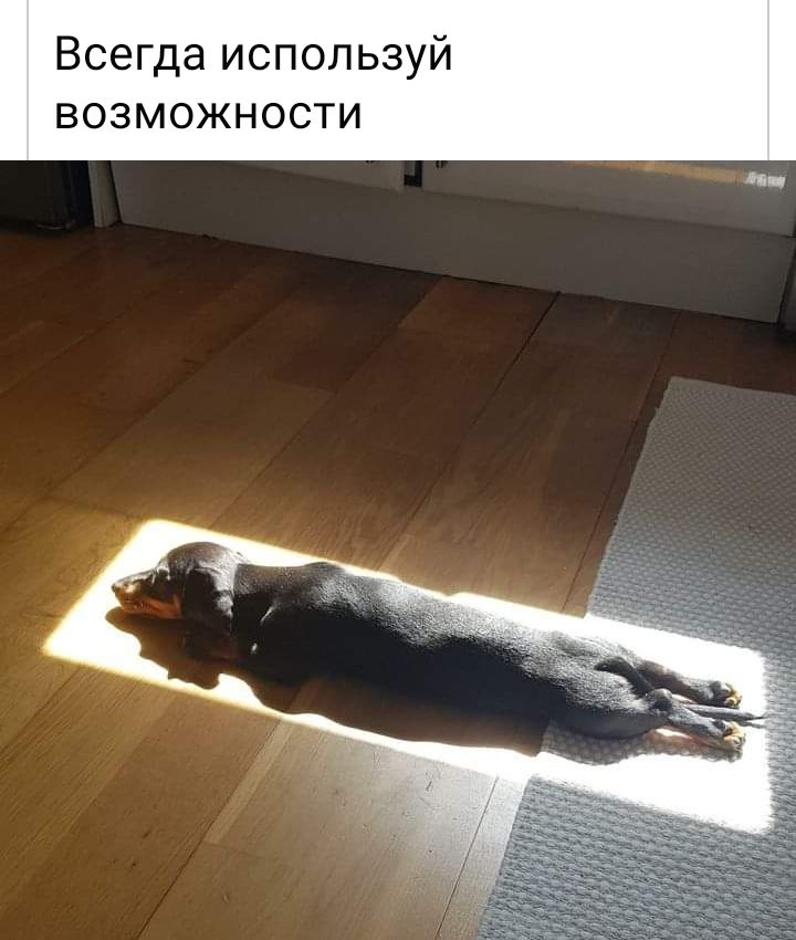 Всегда используй возможности