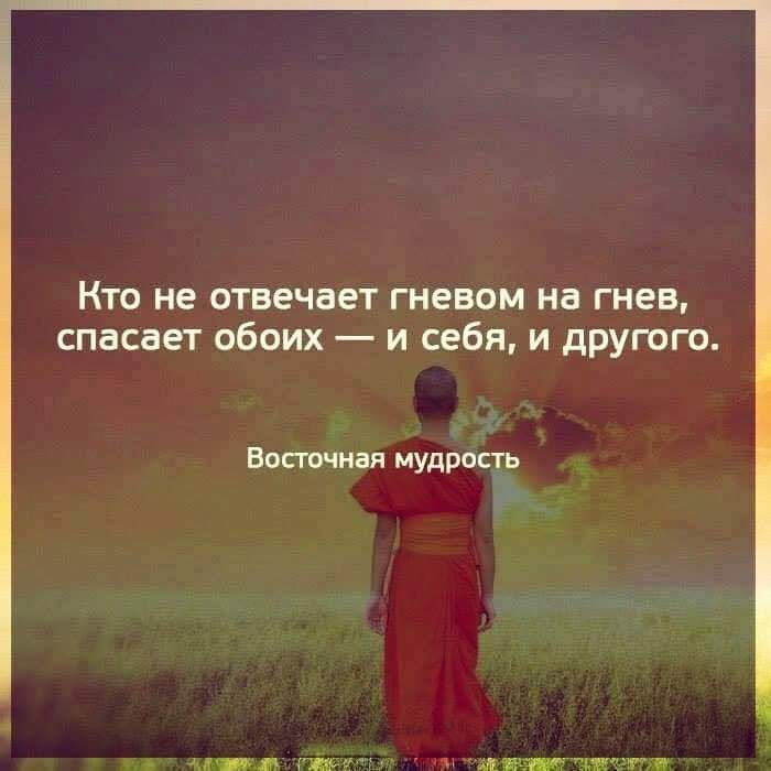 Кто не отвечает гневом на гнев спасает обоих и себя и другого Вотчнан мудрость мины ЖМЧ ШЙЖЁРДРЁЗЧ