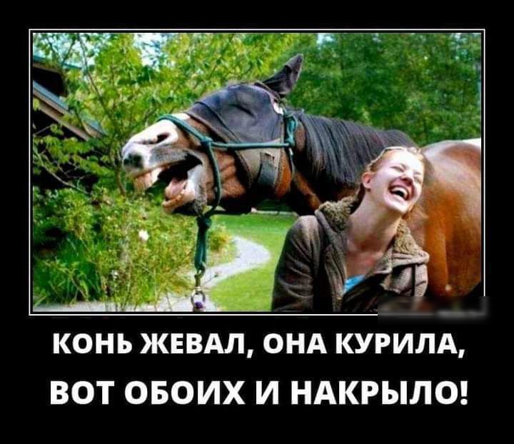 КОНЪ ЖЕВАЛ ОНА КУРИЛА ВОТ ОБОИХ И НАКРЫЛО