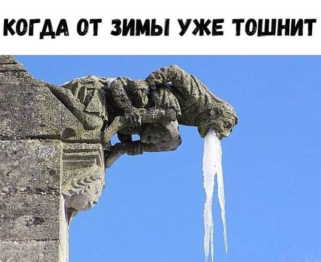 КОГ АА ОТ ЗИМЫ УЖЕ ТОШНИТ