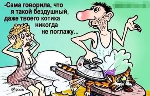 Спи тово что я такой шиый тж твоего котика