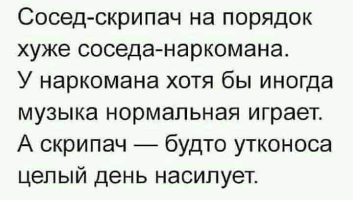 Сосед скрипач на порядок хуже соседа наркомана У наркомана хотя бы иногда музыка нормальная играет А скрипач будто утконоса целый день насилует