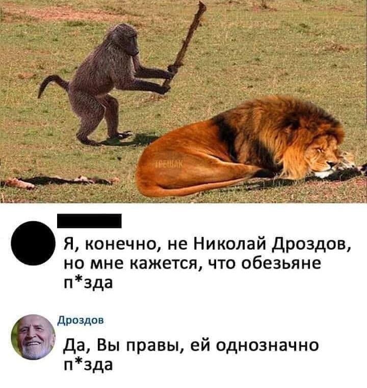 Я конечно не Николай дроздов но мне кажется что обезьяне пзда Дроздов да Вы правы ей однозначно пзда
