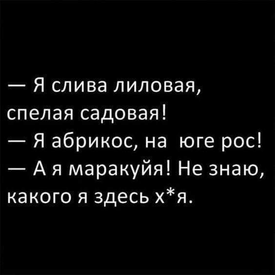 Я слива липовая спелая садовая Я абрикос на юге рос А я маракуйя Не знаю какого я здесь хя