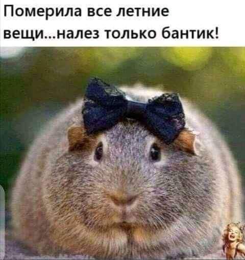 Померила все летние вещинале3 только бантик д