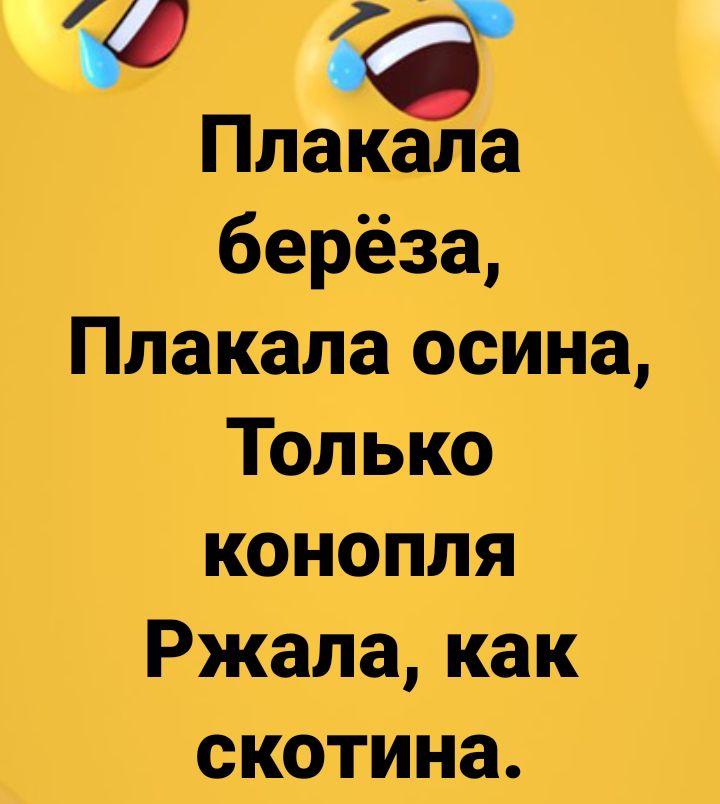 Плакала берёза Плакала осина только конопля Ржала как скотина