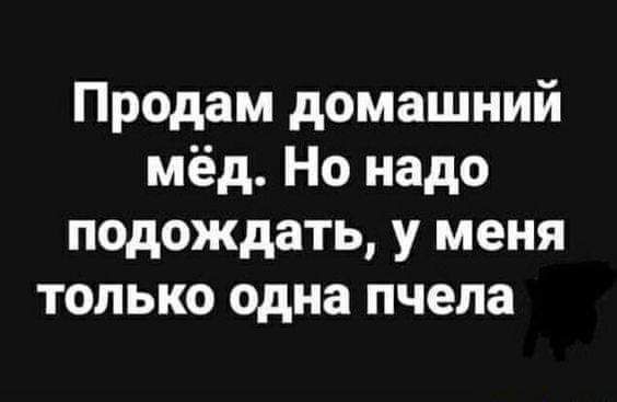 Продам домашний мёд Но надо подождать у меня только одна пчела