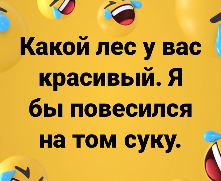 в Какой лес у вас красивый Я бьпповесился на том суку В