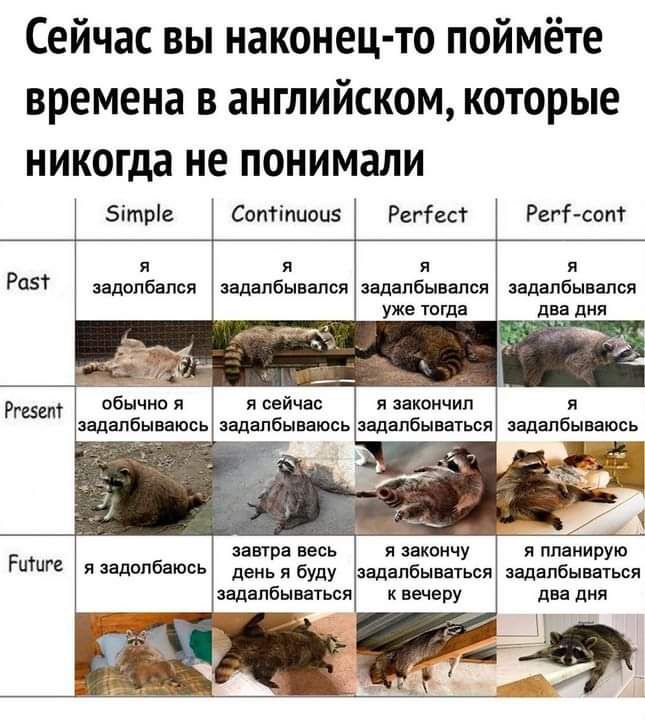 Сейчас вы наконец то поймёте времена в английском которые никогда не понимали 5ітре Соптіпцоцз Регіест РегГсопт Я П Я И Р5Т задолбался задапбывапоя задапбывался задапбывапся УЖЕ ТОГДЕ ЦВЕ ДНЯ из обычно я я сейчас я закончил и аадалбываюсь задалбываюсь задапбываться задапбываюсь 1 Р завтра весь я закончу я планирую я задолбаъось день я буду задапбываться задапбнваться задапбываться к вечеру два дня