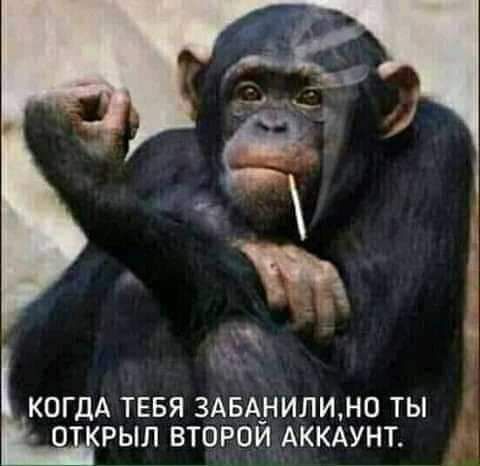 КОГДА ТЕБЯ 3АБА_НИПИН0 ТЫ 0 РЫЛ ВТОРОИ АККАУНТ