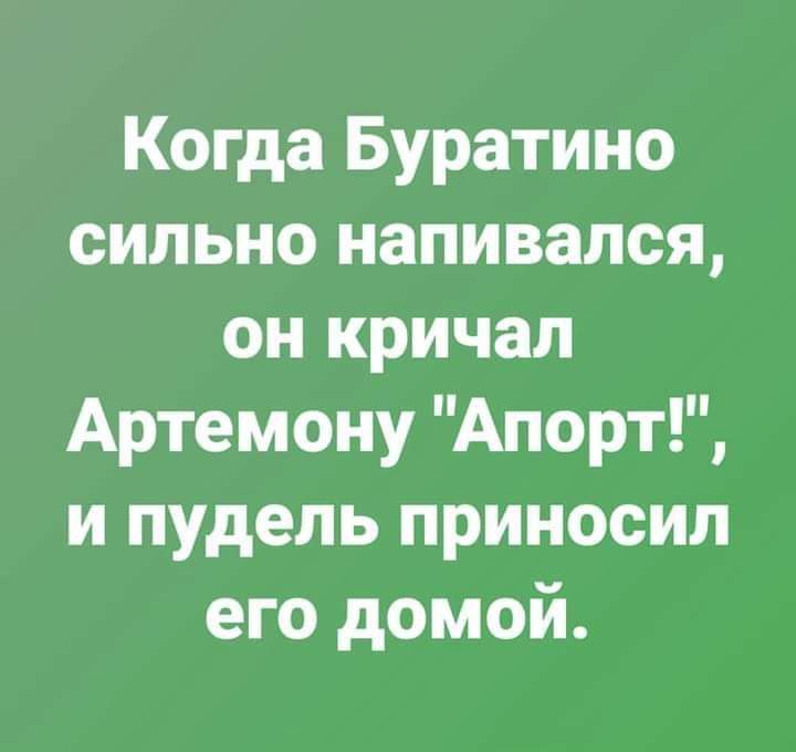 Когда Буратино сильно напивался он кричал Артемону Апорт и пудель приносил его домой