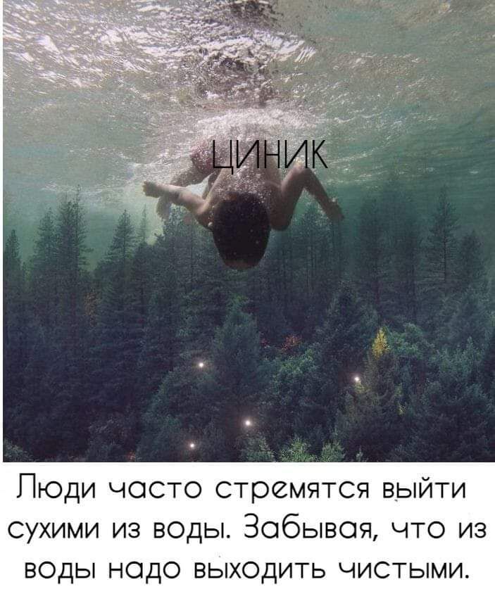 Пюди чосто стремятся выйти сухими из в0ды Зобывоя что из воды нодо выходить чистыми
