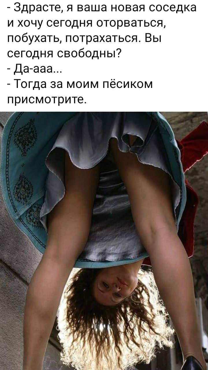 Здрасте я ваша новая соседка и хочу сегодня оторваться побухать потрахаться Вы сегодня свободны Да ааа Тогда за моим пёсиком присмотрите