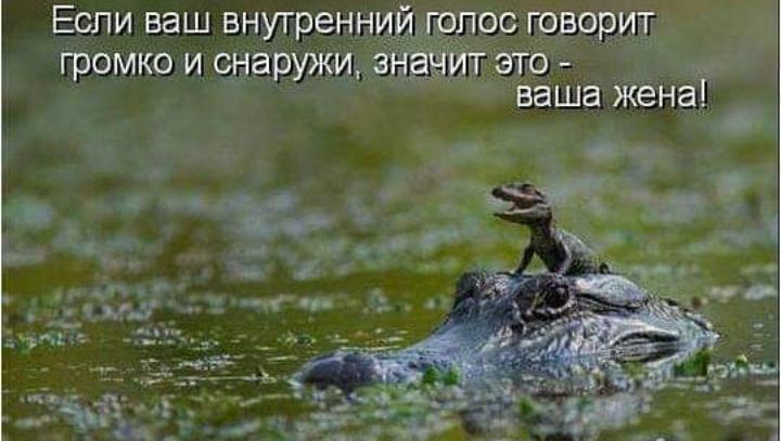Если ваш внутренн ос говорит ГРОМКСИСЬЫЗРУЖИЬЗЁЁЁЁ это 1 ваша жёнашіг