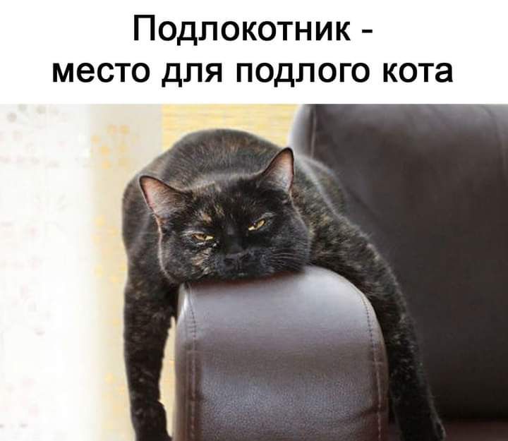 Подлокотник место для подлого кота