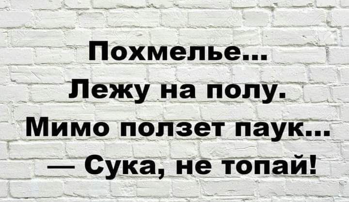 Похмелье Пежуна ПОПУ _ Мимо ползет паук 1сУка не тбпаш
