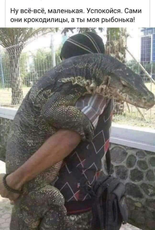 Ну всё всё маленькая Успокойся Сами