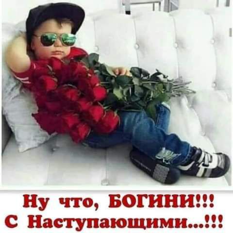 Шу что ТБЕШШШ 22 Шаступпающдшши