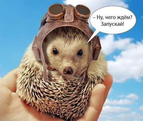Ну чего ждем Запускайі