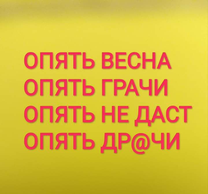 ОПЯТЬ ВЕСНА ОПЯТЬ ГРАЧИ ОПЯТЬ НЕ ДАСТ ОПЯТЬ ДРЧИ