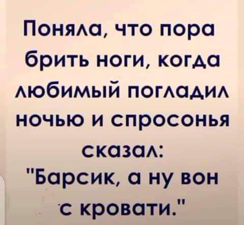 Понями что пора брить ноги когда АЮбИМЫй ПОГАОАИА НОЧЬЮ И СПРОСОНЬЯ скозсм Барсик ну вон с кровати