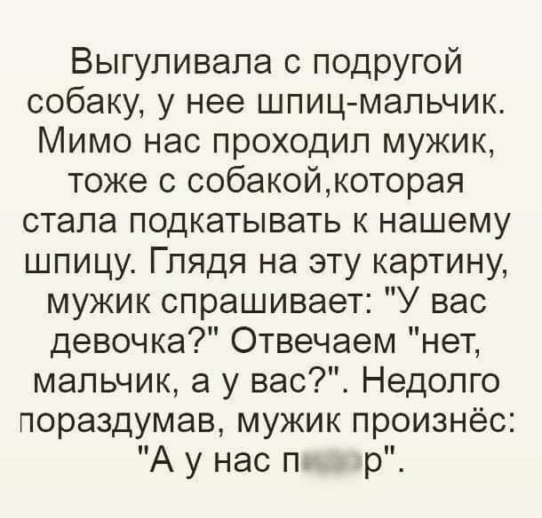 Выгупивапа с подругой собаку у нее шпиц мальчик Мимо нас проходил мужик тоже с собакойкоторая стала подкатывать к нашему шпицу Глядя на эту картину мужик спрашивает У вас девочка Отвечаем нет мальчик а у вас Недолго пораздумав мужик произнёс Аунас п р