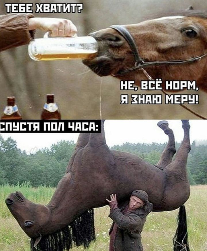 тЕЕЕ хватитэ мг і съ нппм Ёзьшш 1ЙЁРН