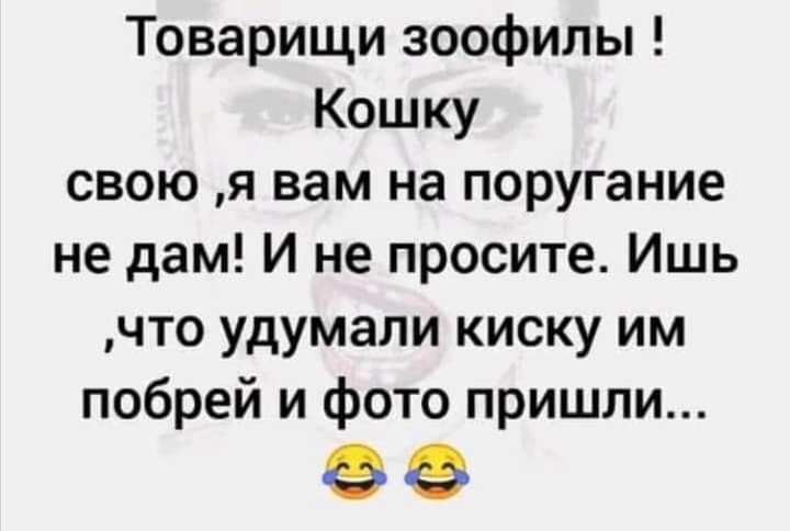 Товарищи зоофилы Кошку свою я вам на поругание не дам И не просите Ишь что удумали киску им побрей и фото пришли