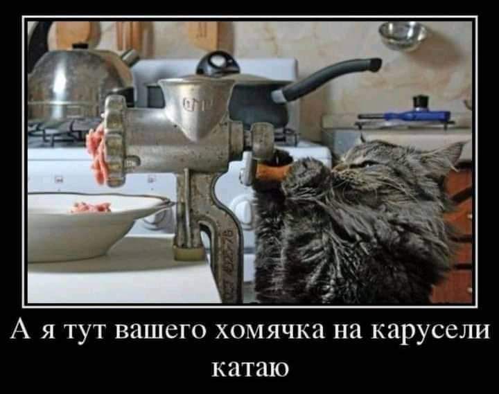 А я тут вашего хомячка на карусели катаю