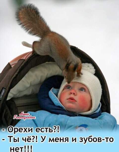 Фрехи есть Ты чё У меня и зубов то нет