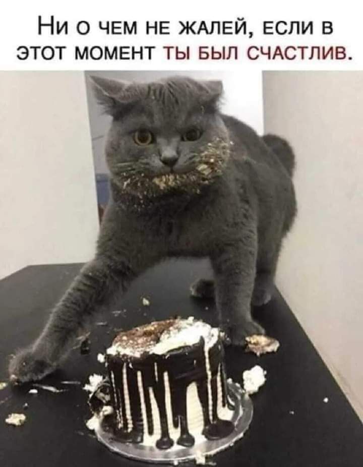 Ни о чем НЕ ЖАЛЕЙ ЕСЛИ в этот момент ты вып СЧАСТЛИВ