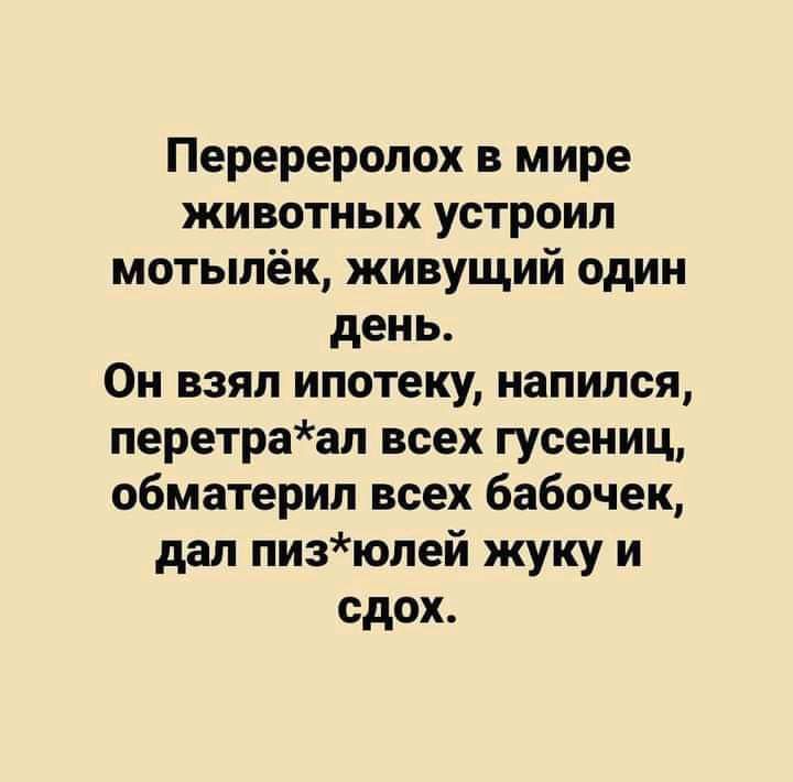 Перереропох в мире животных устроил мотылёк живущий один день Он взял ипотеку напился перетраап всех гусениц обматерил всех бабочек дал пизюлей жуку и сдох