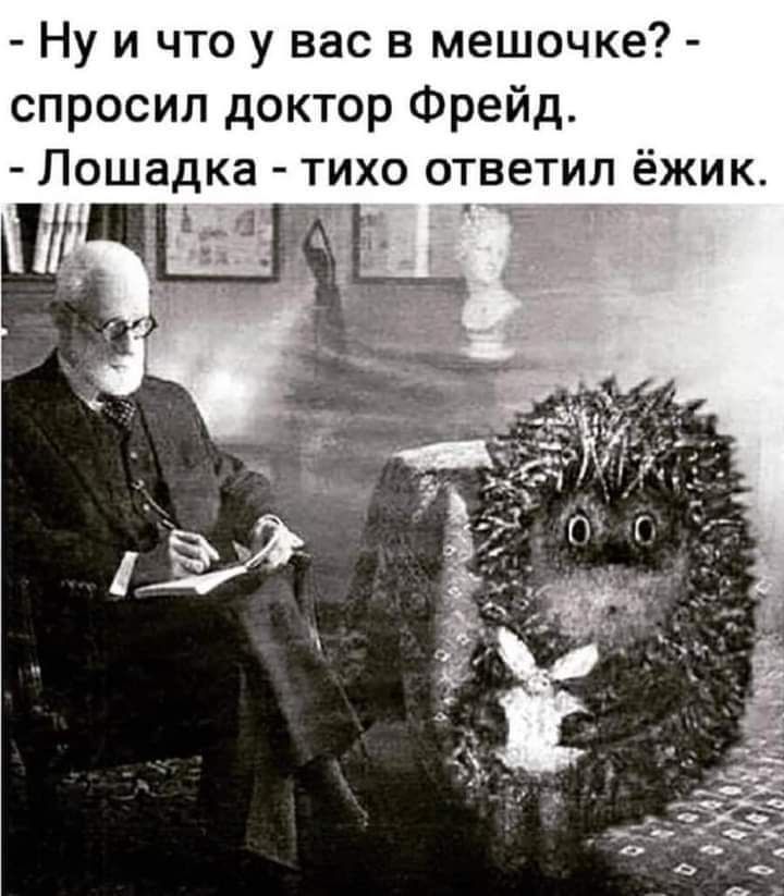 Ну и что у вас в мешочке спросил доктор Фрейд Лошадка тихо ответил ёжик
