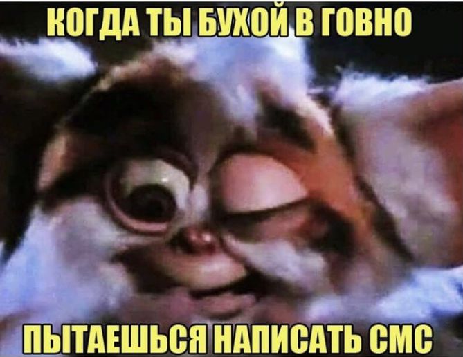 111 БШЮИВ ШВНП щппшьштпиедть вме