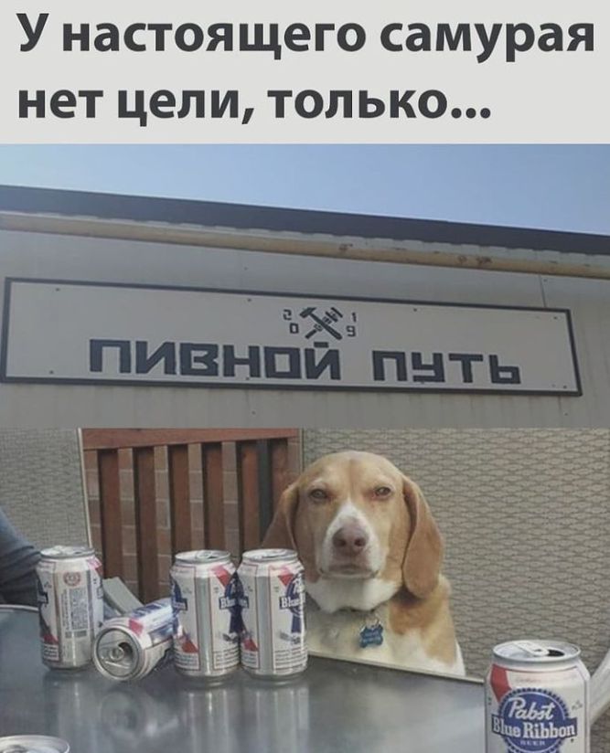 У настоящего самурая нет цели только ры _ зНіЬЬоп
